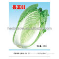 HS-Super big Chinese Cabbage Seeds F1 Hybrid